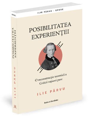 Posibilitatea experienței. O reconstrucție teoretică a Criticii rațiunii pure - Ilie Pârvu